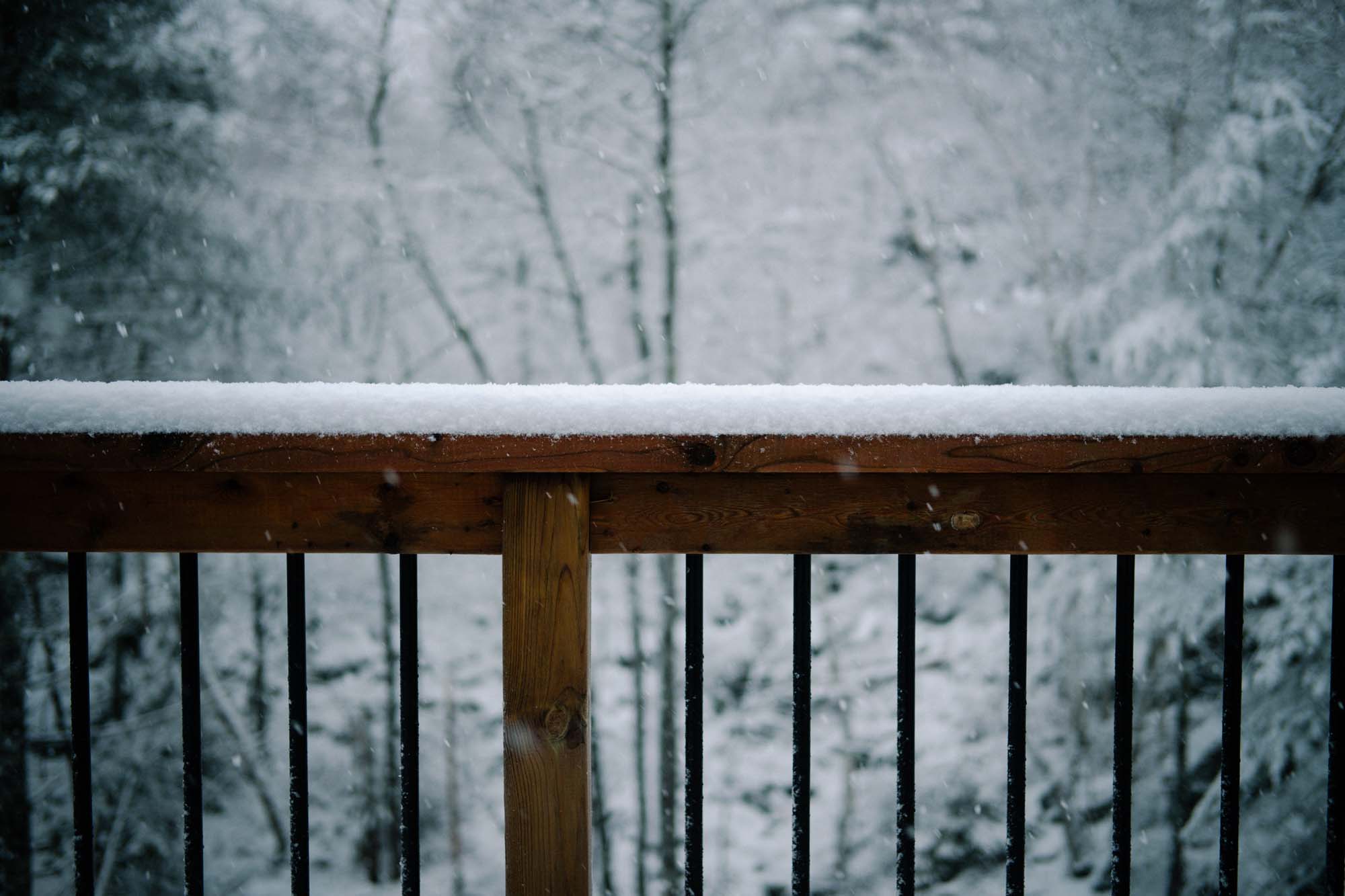 How to Keep Your Fence Beautiful in the Winter
